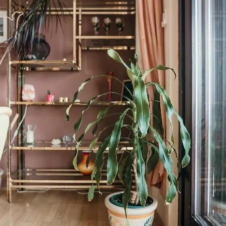 Ivana Apartman *
