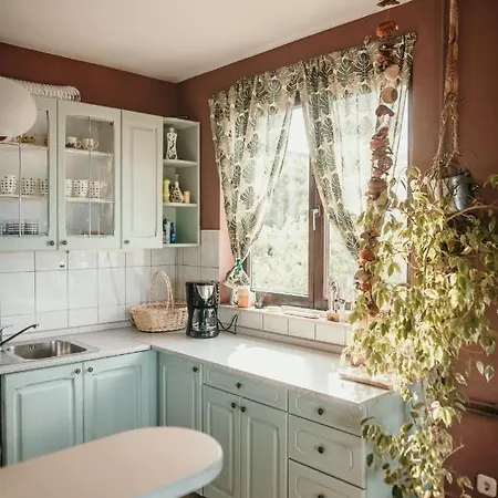 Апартаменты Ivana *