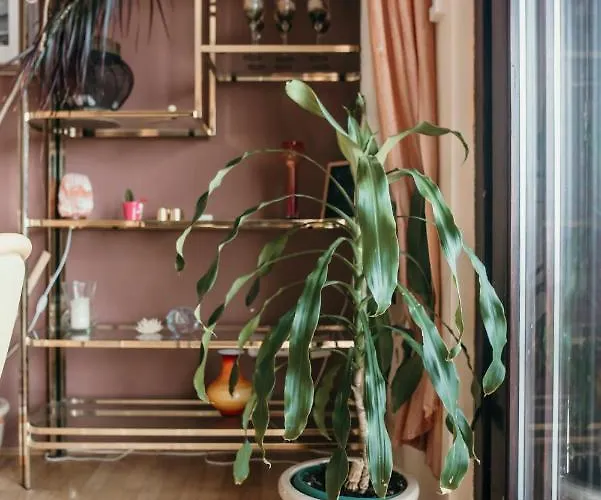 Ivana Appartement *